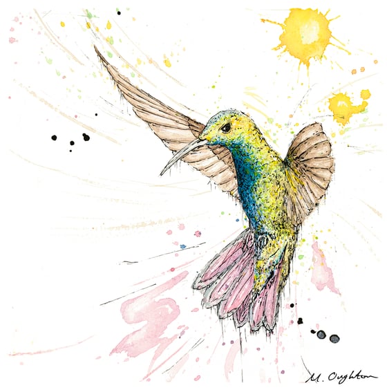 Image of Flight of a Humming bird No.1 - Print