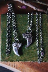 Image 4 of Bear Claw Necklace