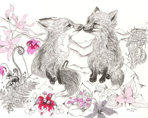 Image of Kissing Red Fox Cubs (Print)