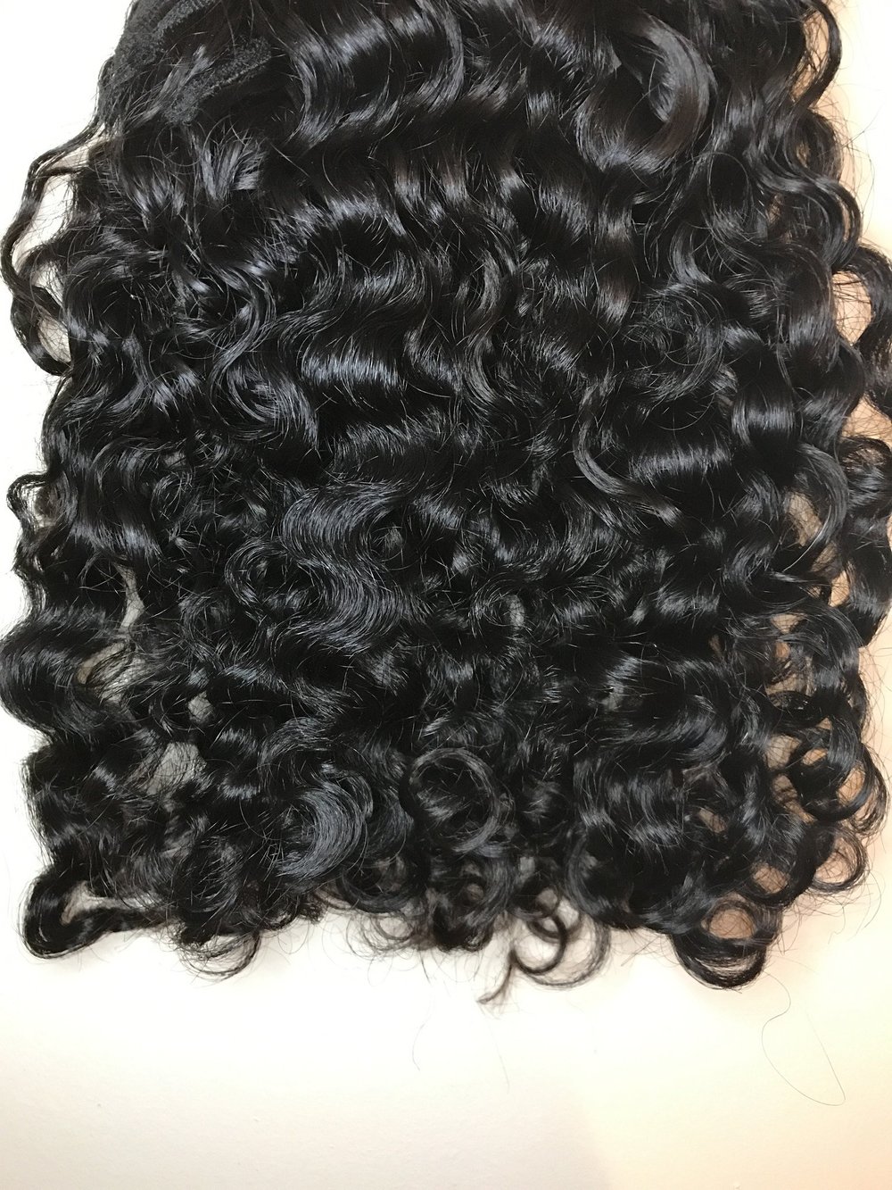 Image of Burmese Curly