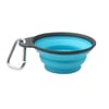 Collapsible Travel Bowl