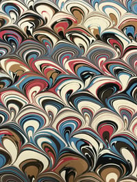 Image 3 of Marbled Paper #53 brown sea-shells