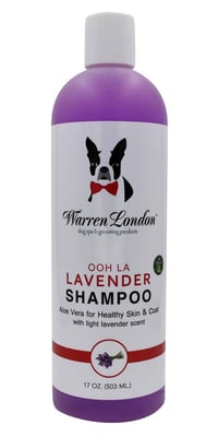 Image 1 of Lavender Shampoo