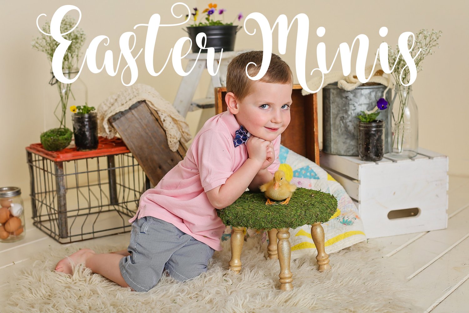 Image of Easter Mini Deposit