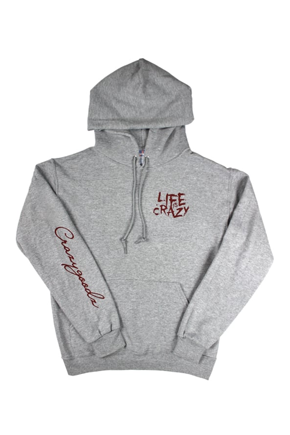Image of LIC Pullover Hoodie