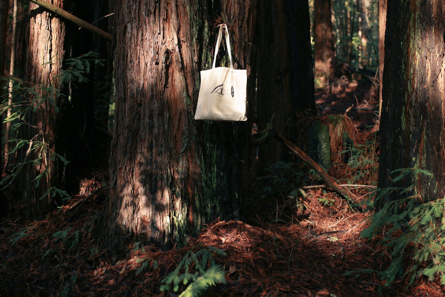 Image of LUCID TOTEBAG