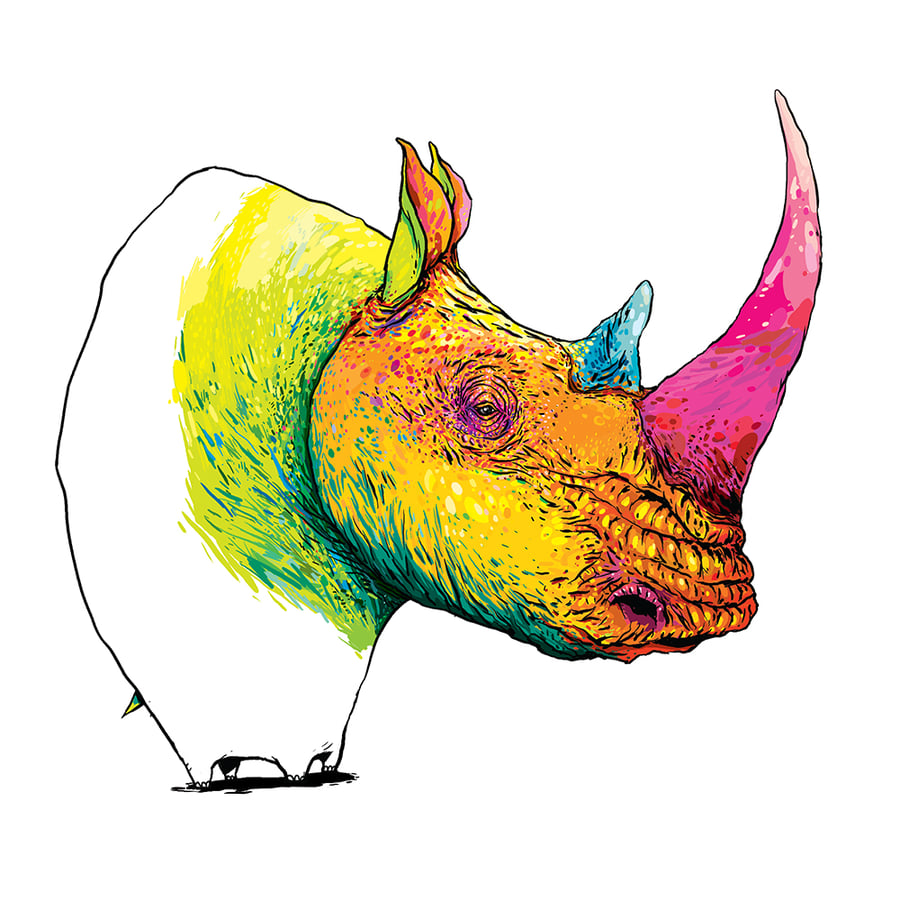 Image of Rhinocéros