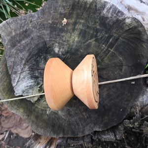 Image of X-UP maple V