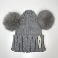 Image 1 of Pale Grey Baby Bear Pomskii