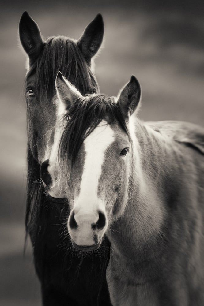 Image of Eyes Are The Doorway to the Heart