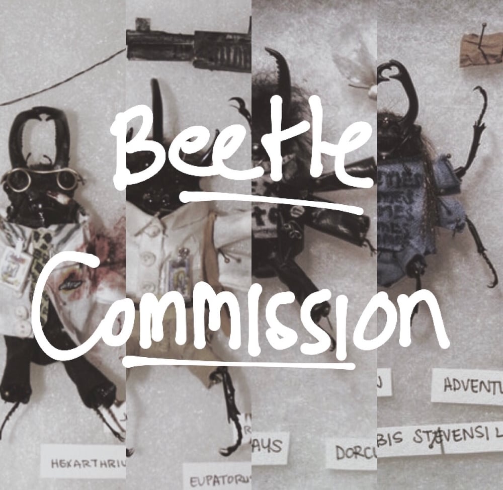 Image of Dressed Beetle Commission 1