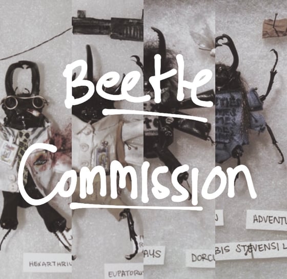 Image of Dressed Beetle Commission 2