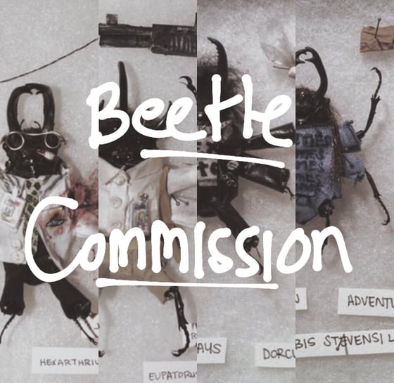 Image of Dressed Beetle Commission 4