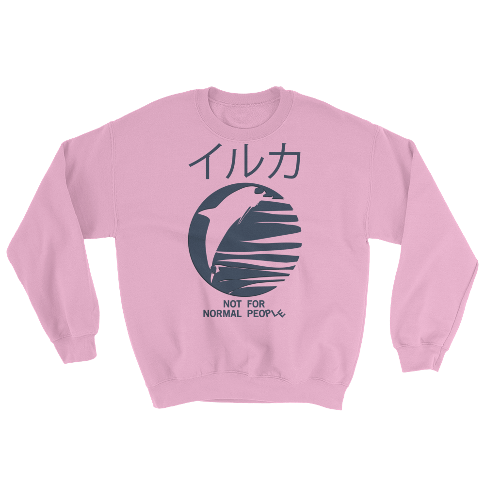 Image of NFNP Vapor Spring Collection 2018 - PINK SWEATSHIRT
