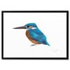 Print: Kingfisher