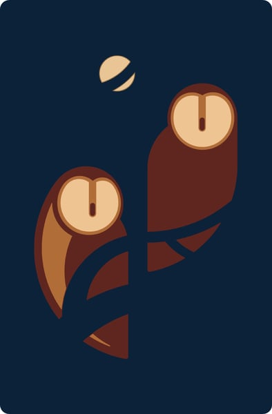 Image of owls