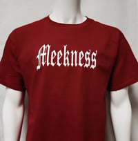 Image 1 of Meekness