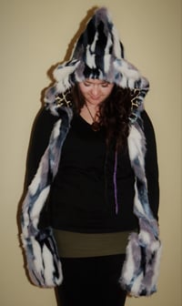 Image 1 of Glacier Cat Bolli Bear