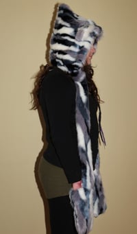 Image 3 of Glacier Cat Bolli Bear