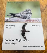 Image 1 of Common Nighthawk - No.136 - UK Birding Series