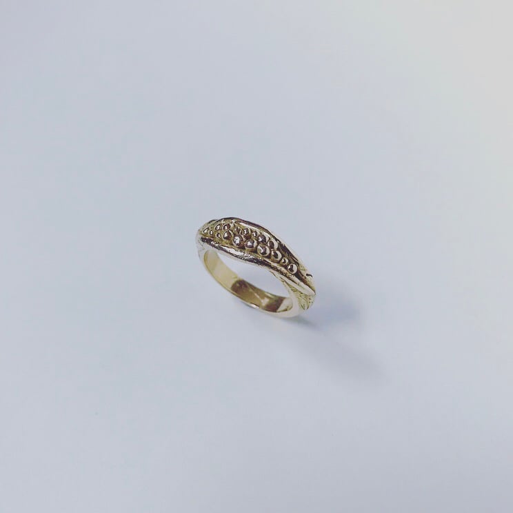 Image of Seed Pod Ring