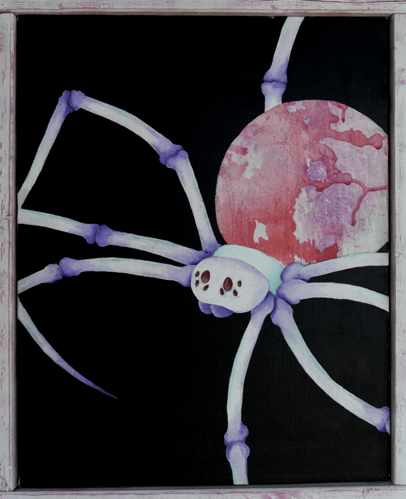 Image of Bloody Moon Spider