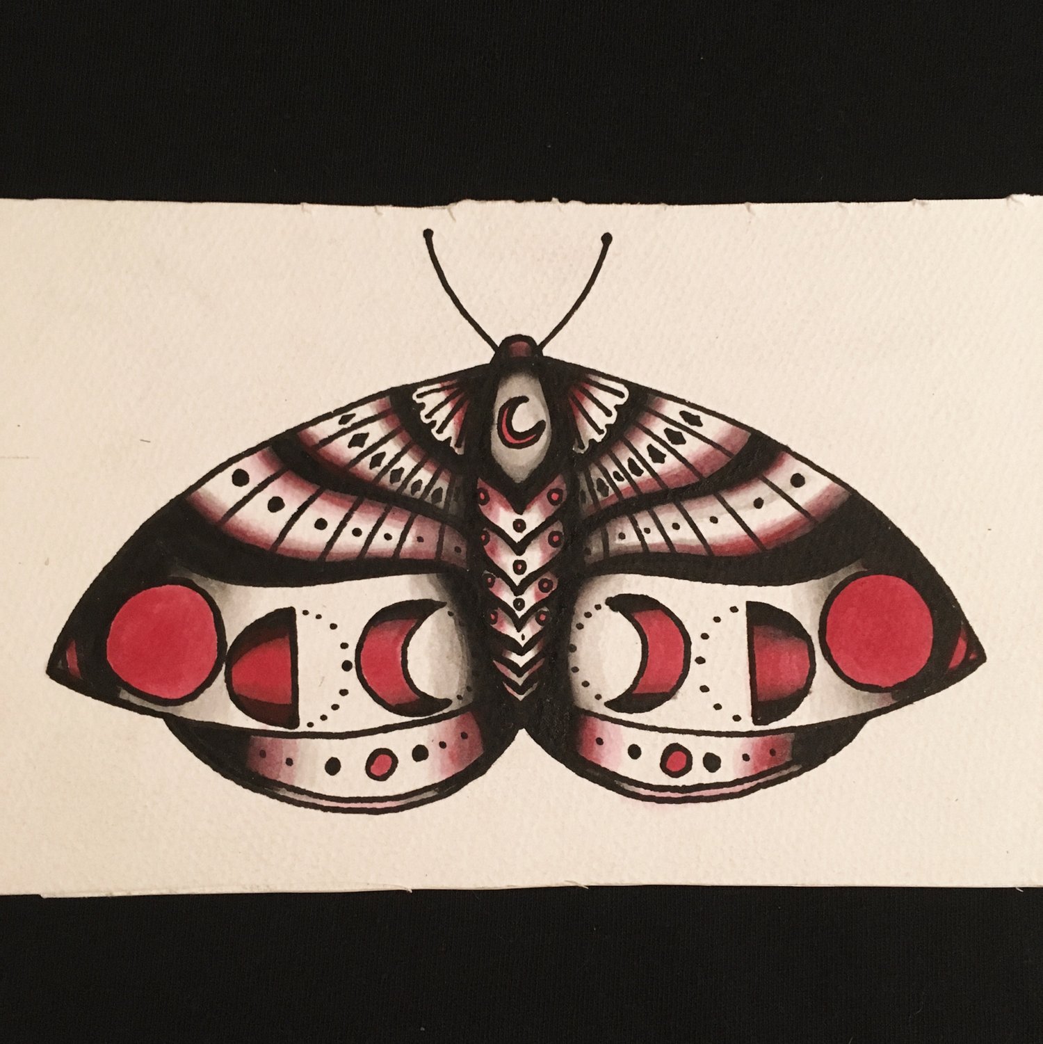 Image of Blood moon moth