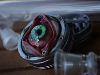 Image 13 of Green eyed Spice Grinder OAAK