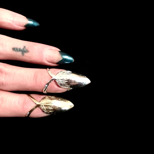 Image of SATAN’S CLAW