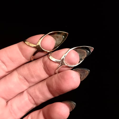 Image of SATAN’S CLAW