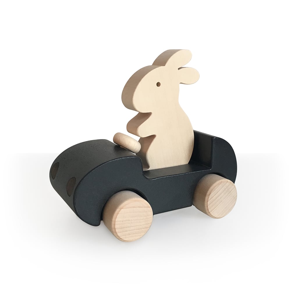Image of Bunny Car Noir