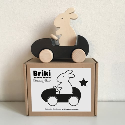 Image of Bunny Car Noir