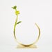 Image of Vase 534 - Edging Over Vase