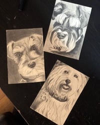 Image 5 of Custom Pet Portraits