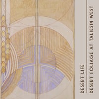 Image 1 of Desert Life : Desert Foilage at Taliesin West