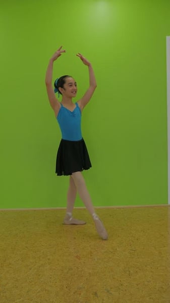 Image of Ballet Skirt