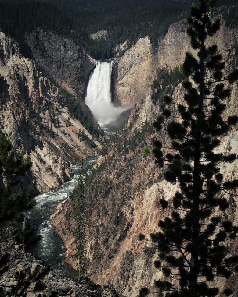 Image of Yellowstone Falls