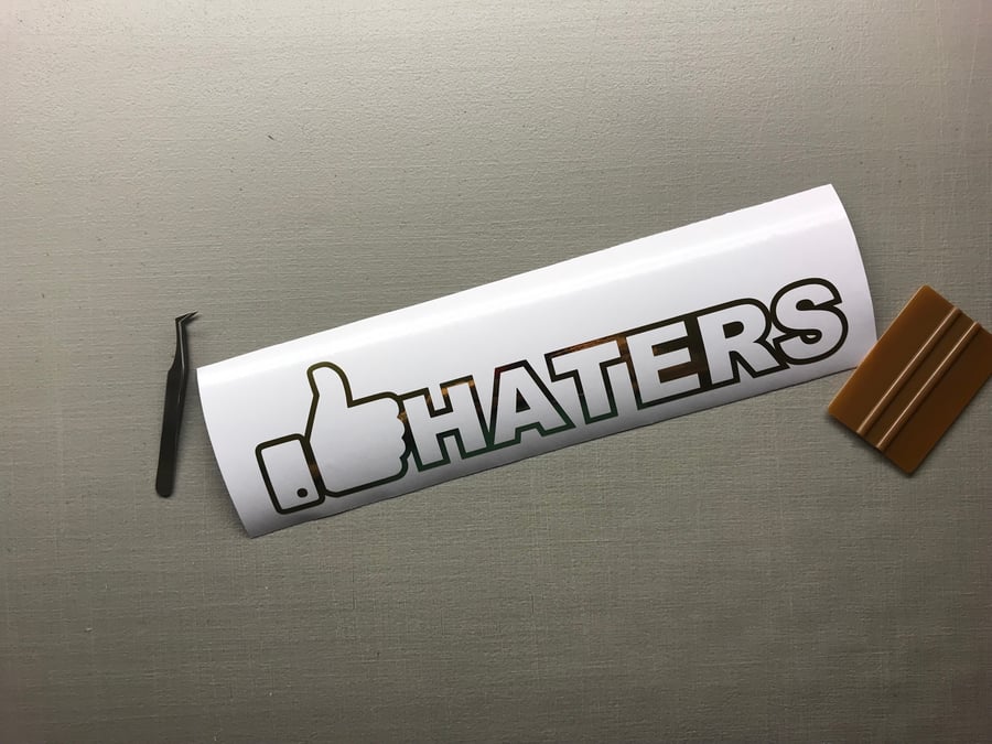 Image of 👍🏼HATERS decal 10”