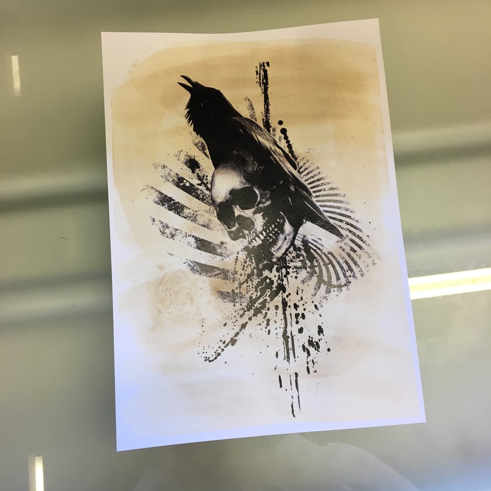 Image of Crow print