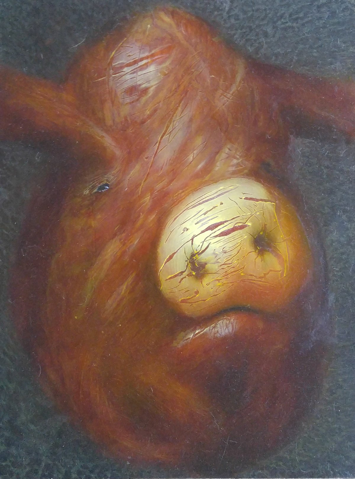 Image of Pig