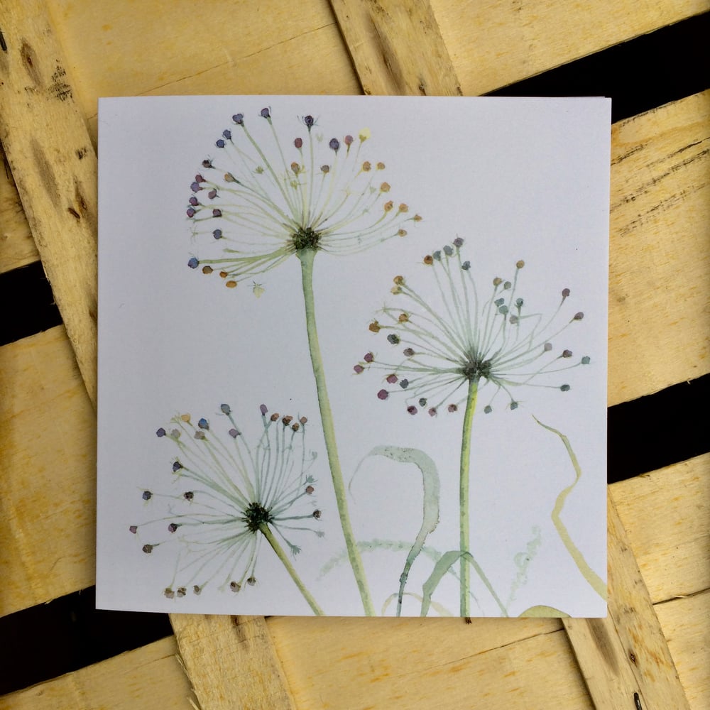 Image of Three Allium Greetings Card