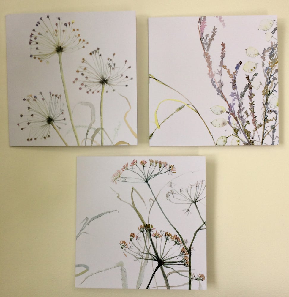 Image of Three Allium Greetings Card