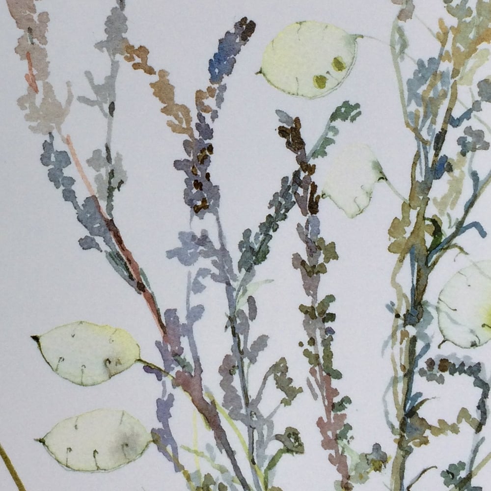 Image of Honesty and Grasses Greetings Card