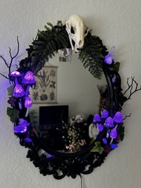 Image 1 of Big inky cap mirror led 