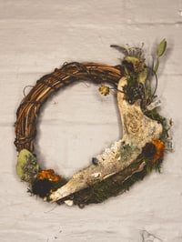 Image 1 of Deer Jaw Wreath