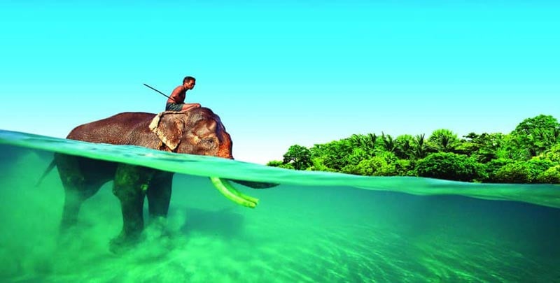 Image of List of Best Place to visit in Andaman & Nicobar Islands