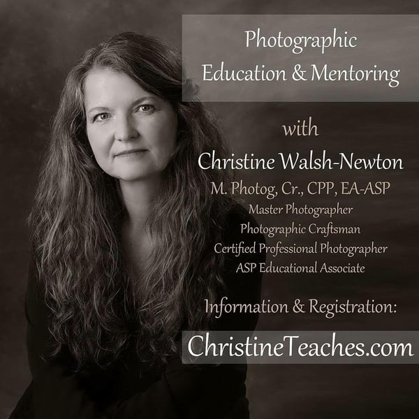 Image of ONLINE Private Mentoring | 6 Sessions | $375
