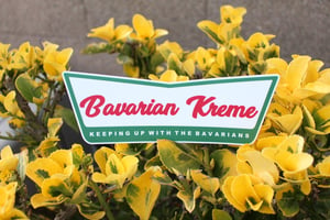 Image of “Bavarian Kreme” Logo Sticker