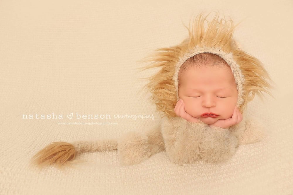 Image of Furry Little Lion Cub