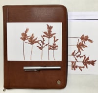 Image 2 of Postcard - various